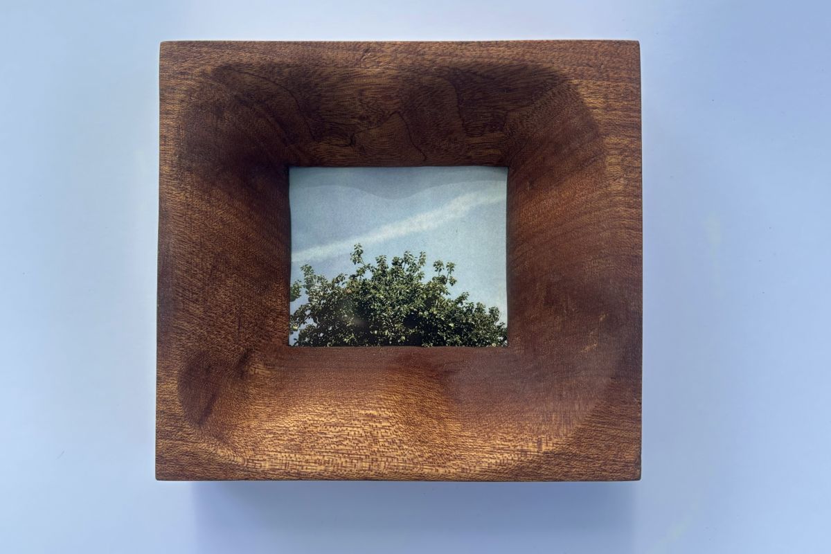 Mahogany frame holding a photo of a treetop and vapour trail