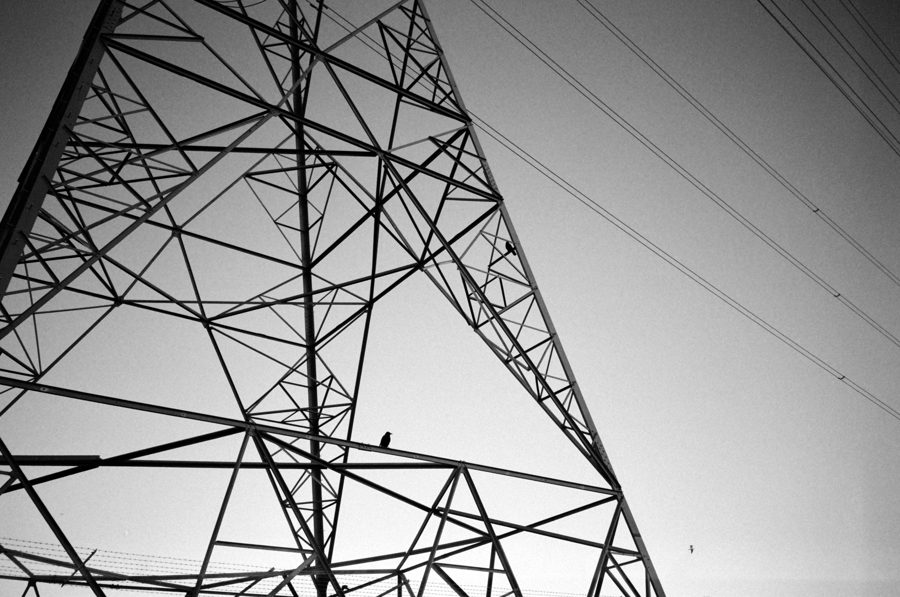 Looking up through the steel lattice of a pylon, birds perched on its beams